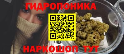 PSILOCYBIN Азнакаево
