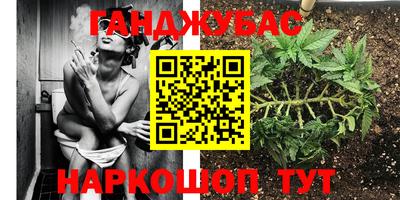 бошки Абакан
