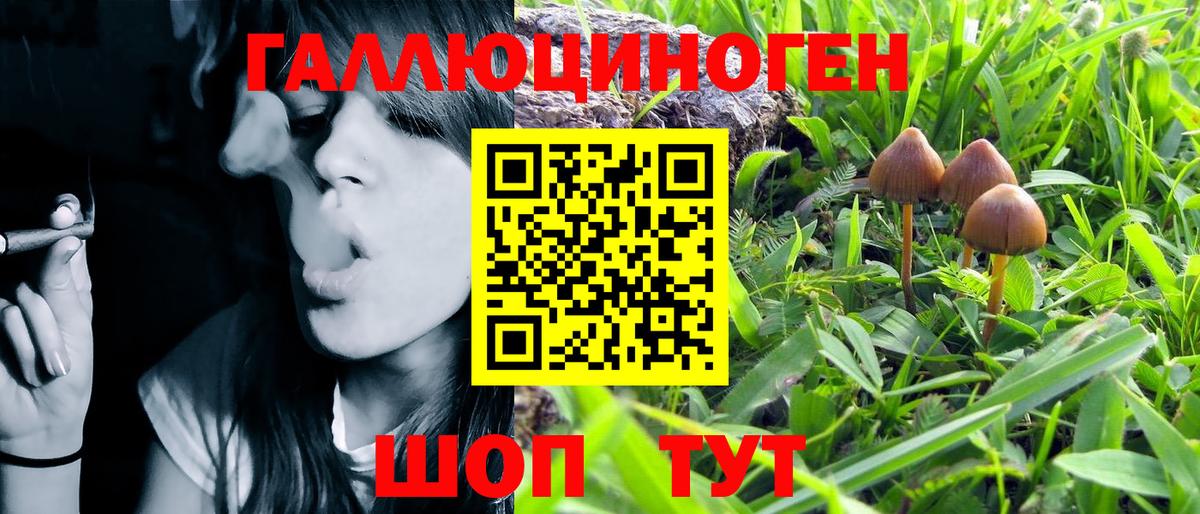 Псилоцибиновые грибы MAGIC MUSHROOMS Алатырь