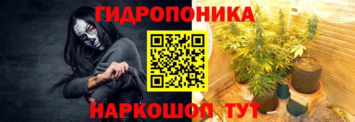 МАРИХУАНА марихуана  Бошки Шишки семена  Вход с VPN  Алатырь  Бошки марихуана White Widow 